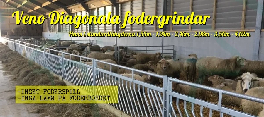 fodergrindar får